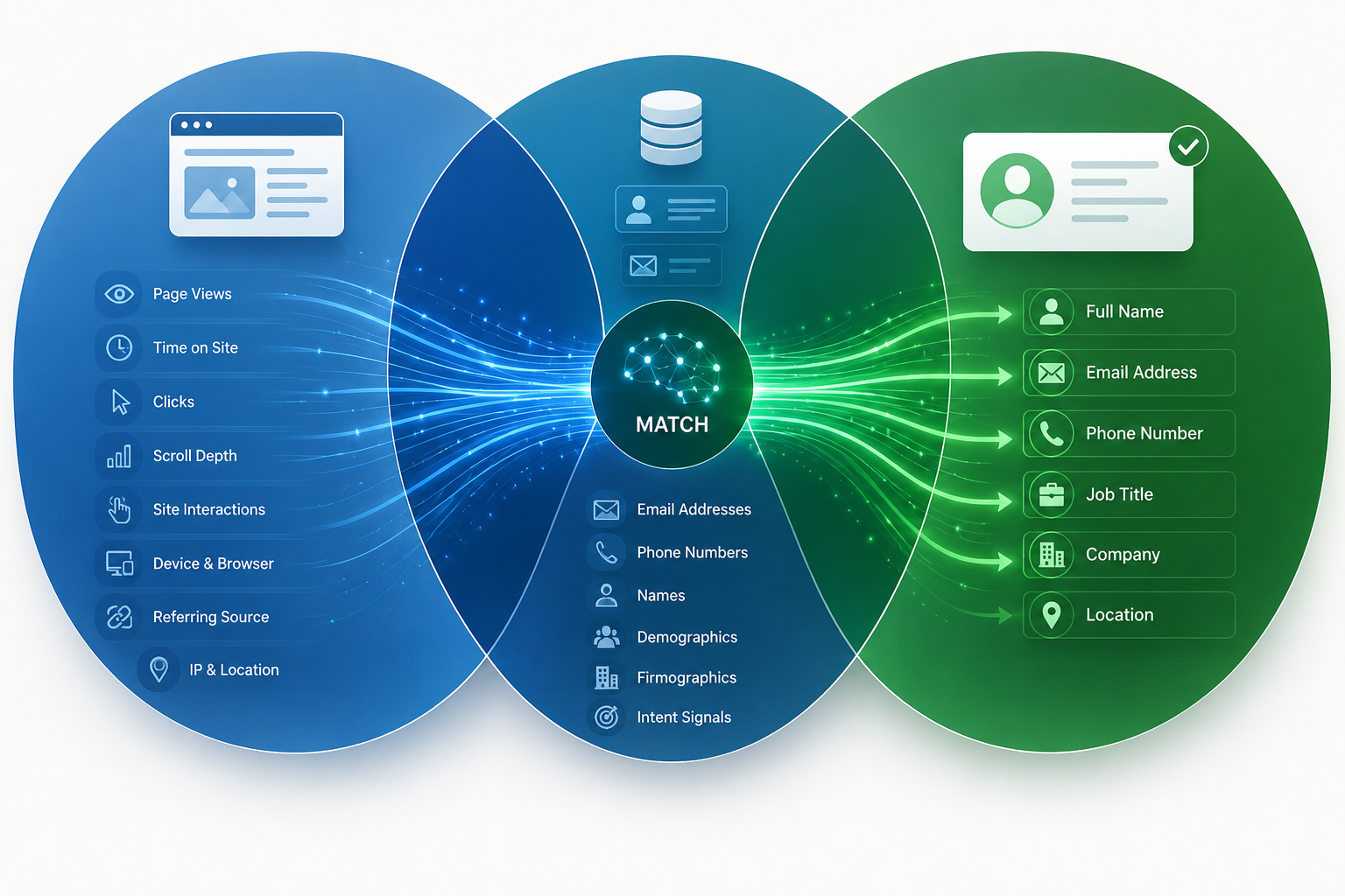 Data integration and identity resolution diagram