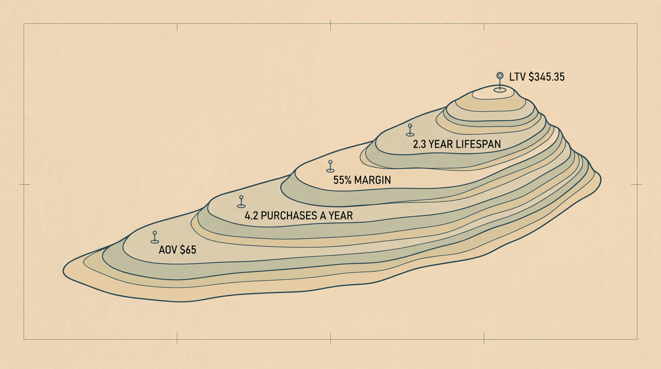 Terraced contour map showing AOV $65, 4.2 purchases a year, 55% margin and a 2.3 year lifespan reaching an LTV of $345.35